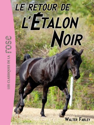 cover image of L'étalon Noir 02--Le retour de l'Étalon Noir